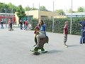 P1310903 (2)